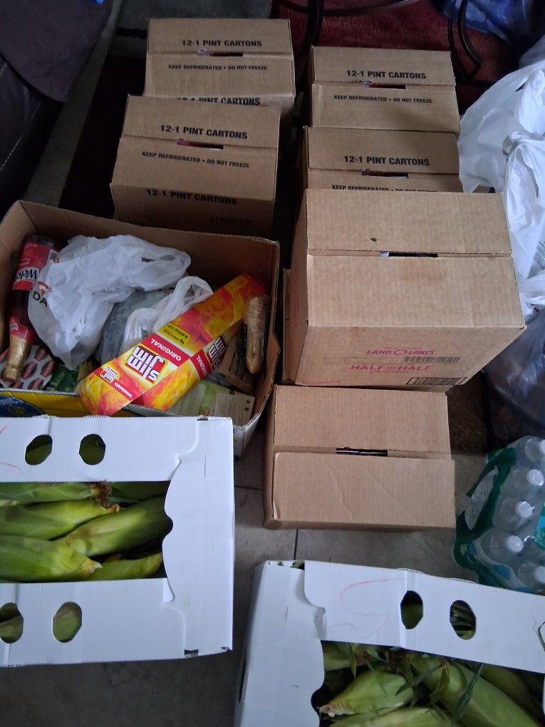 Free Food