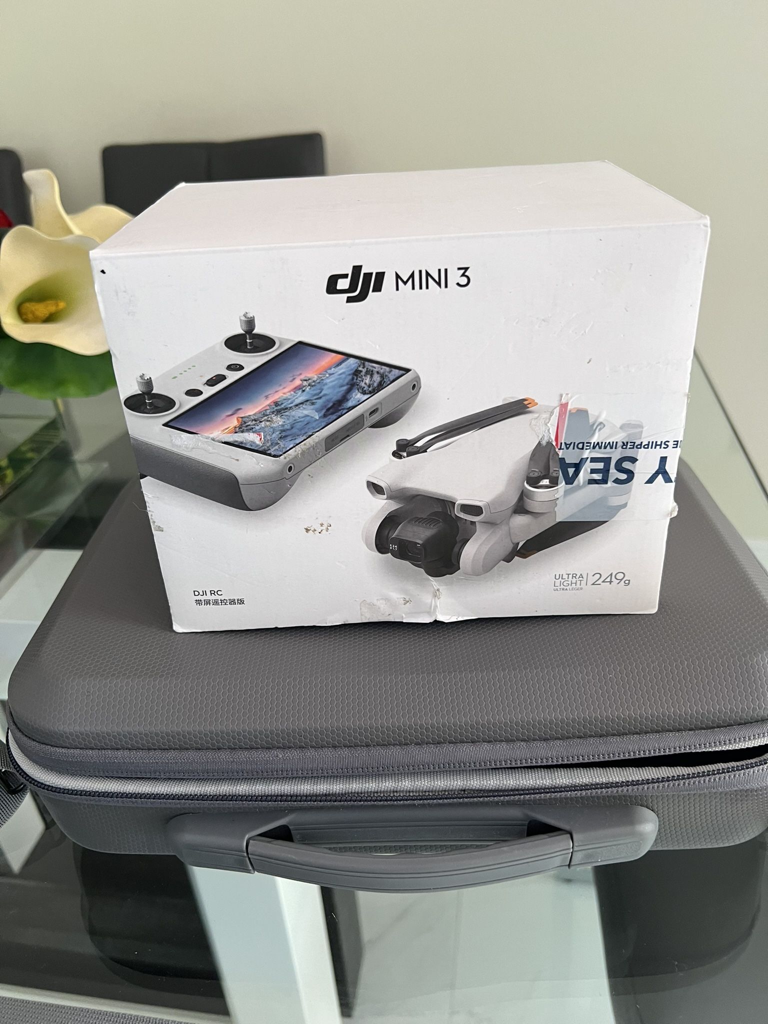 Dji Mini 3 With Smart Controller And 2 batteries