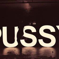 📸 P*SSY Lightbox Prop – 4ft Tall Marquee for Shoots & Music Videos