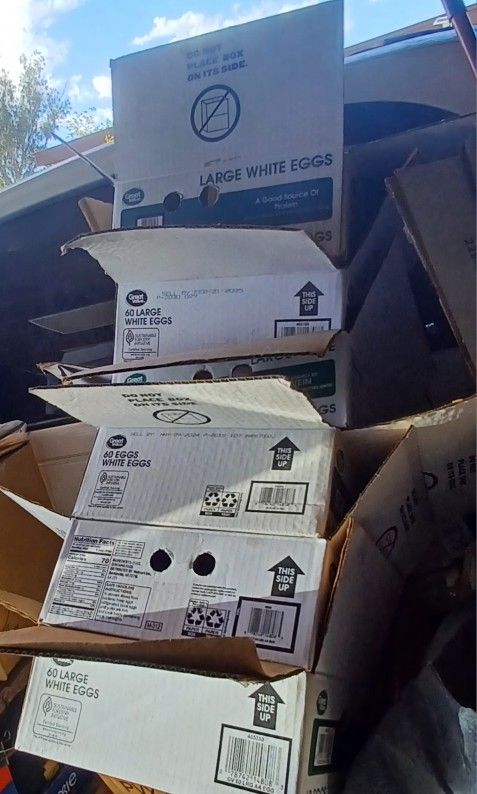 Moving Boxes All Purpose