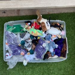 Beanie Baby’s