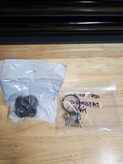 Evinrude E-tec thermostat