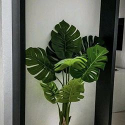 Indoor  Outdoor Home Ideas