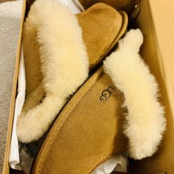 Ugg Scuffette II 