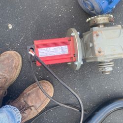 Motor