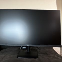 LG Computer Monitor 24 Inch 