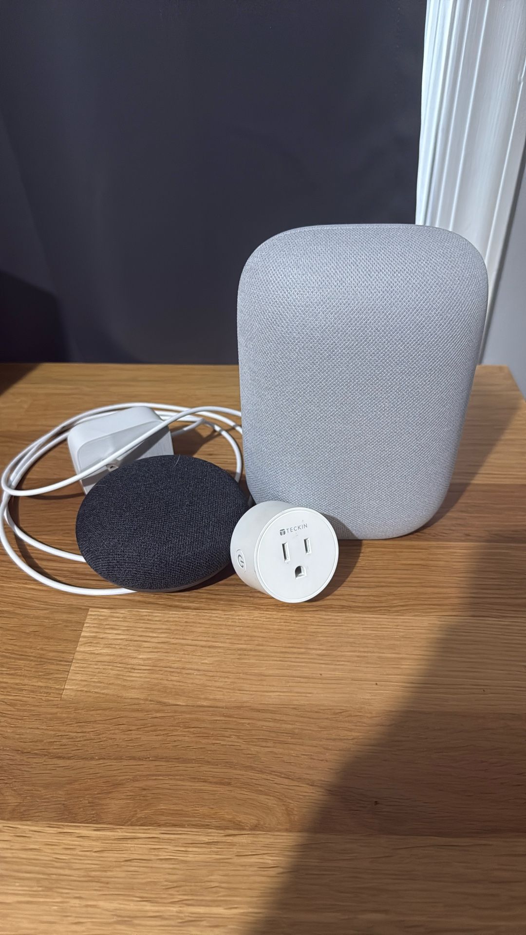 Google Nest Speakers