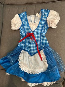 Wizard of Oz Dorothy costume