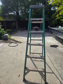 Ladder 6Ft
