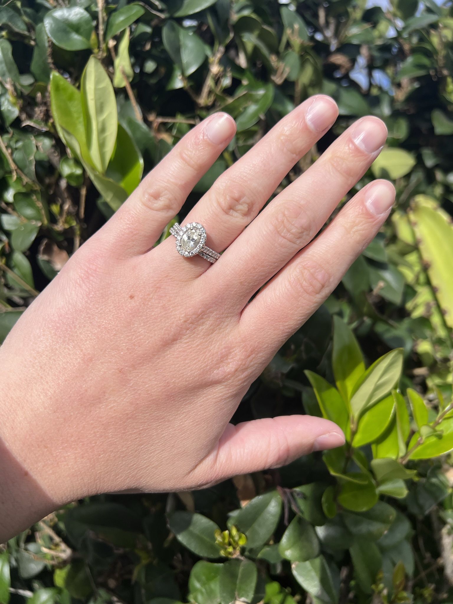 Natural diamond oval Halo Ring Set