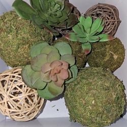 Succulent And Moss Balls Floral Decor 