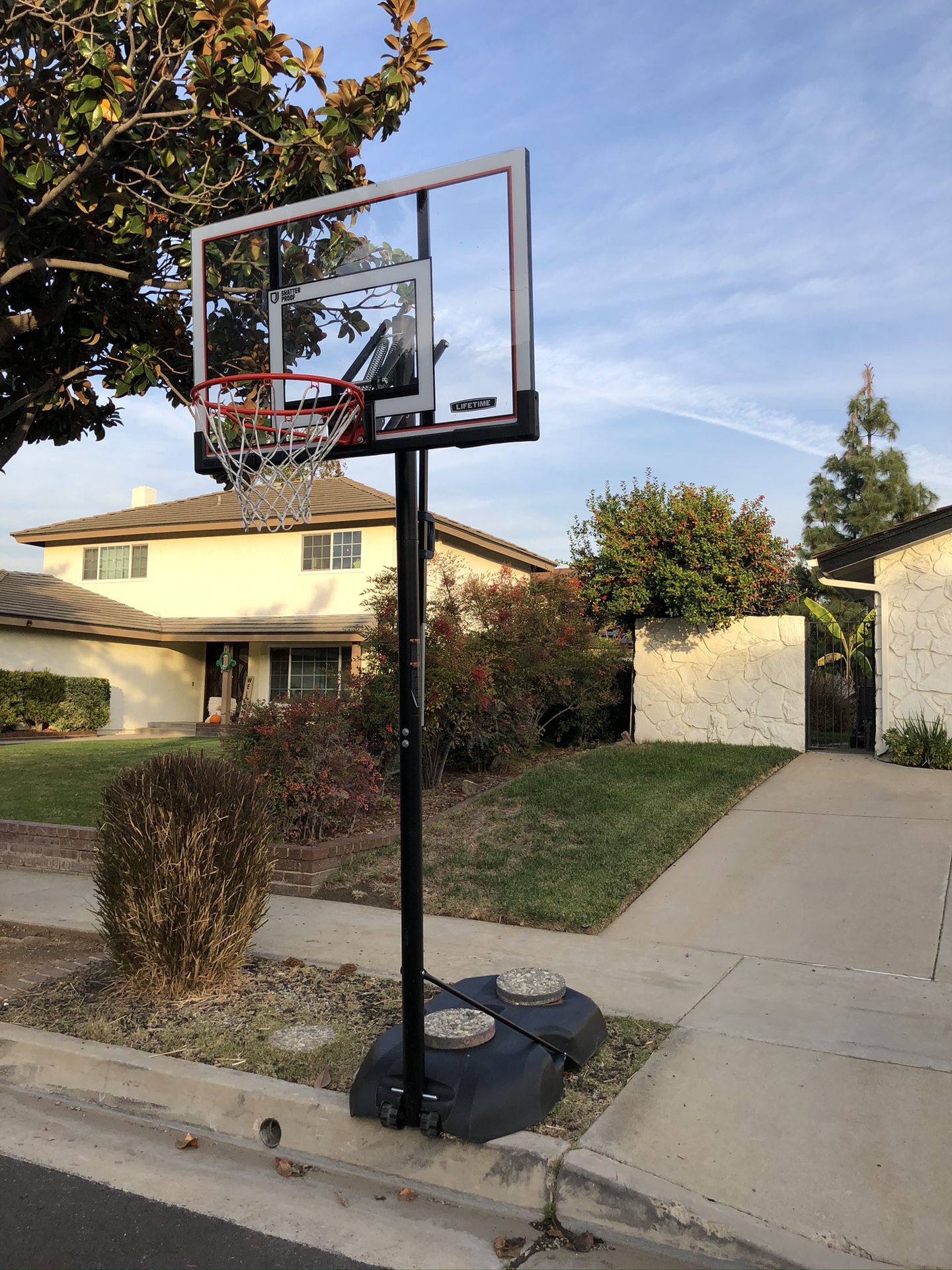 On HOLD: Lifetime Basketball Hoop
