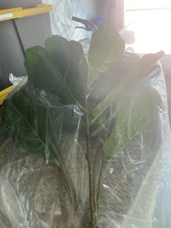 Artificial Leaves