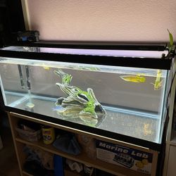 Aquarium Fish Tank Accessories 