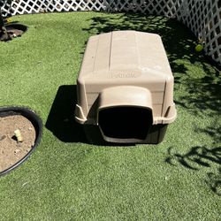 Dog House