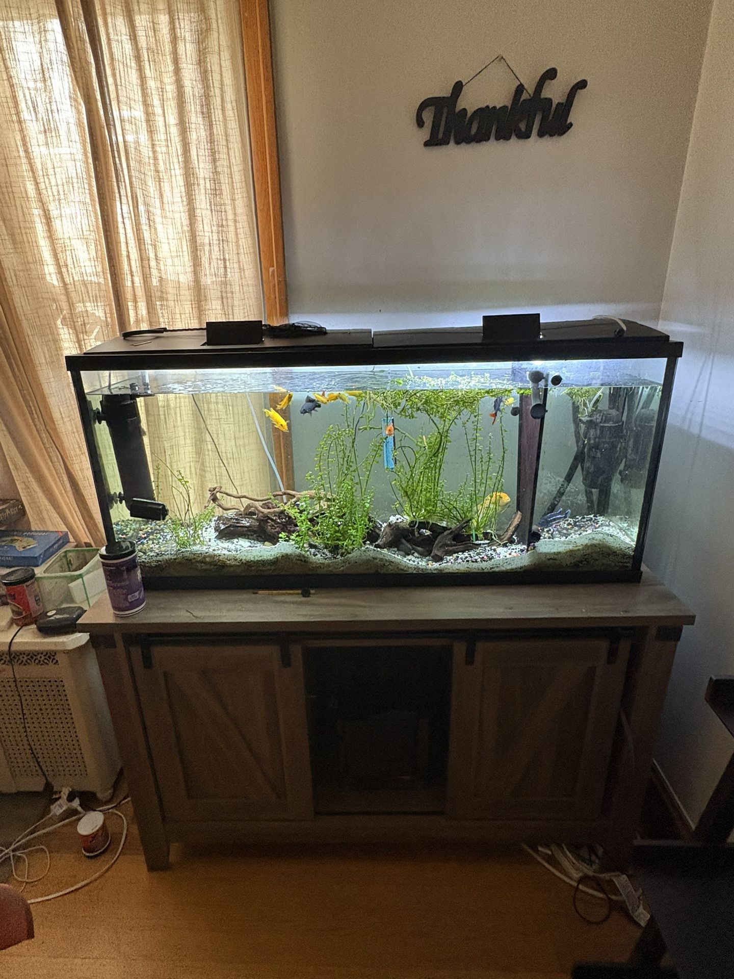 Fish Tank 