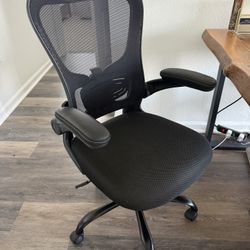Ergonomic Office Chair