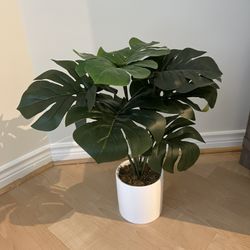 Monsterra Faux Plant
