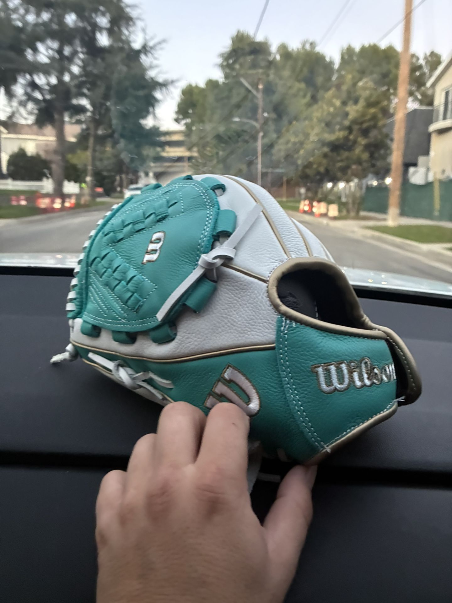 Wilson Baseball Glove