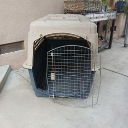 Dog Kennel