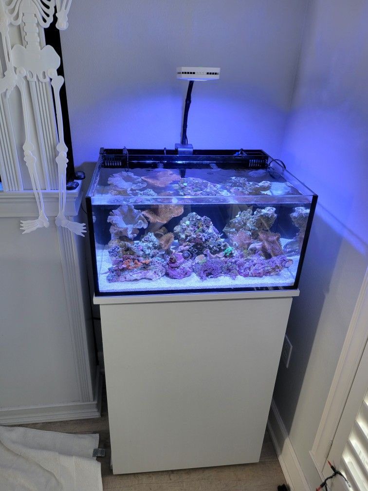 25 Gallon Inovative Marine Rimless