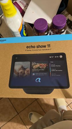 Echo show 11