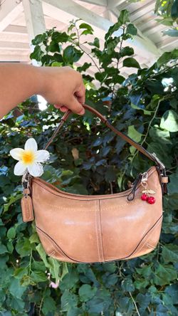 Vintage Coach