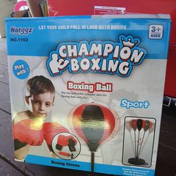 NATGZZ champion boxing ball set