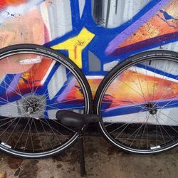 Schwinn Schwabble Tires And Bike Seat