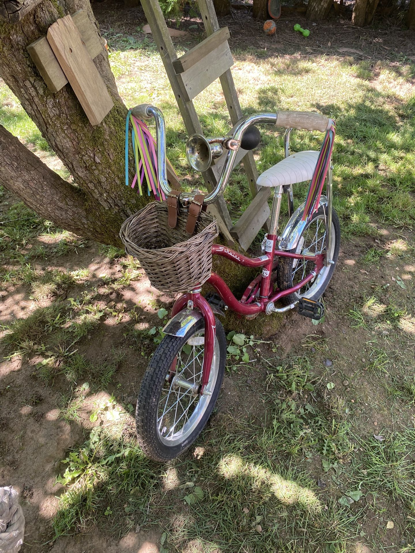 Schwinn - Kids Bike