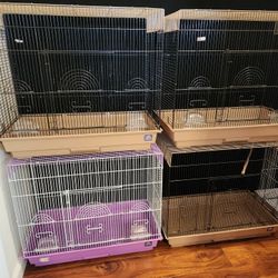 Bird Cages