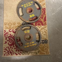 2 25lb Plates