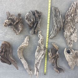 Driftwood