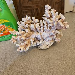 Reef Rock, Coral, 12" By 10" Decoration 