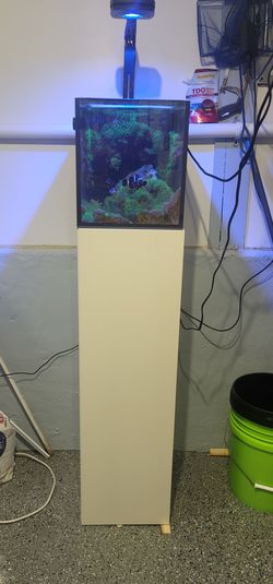 10g fusion setup
