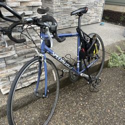 Triathlon Bike