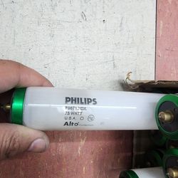 Light Bulbs $10 Each