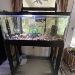 50 Gallons Fish Tank With Stand