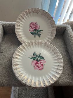 American Limoges Plates