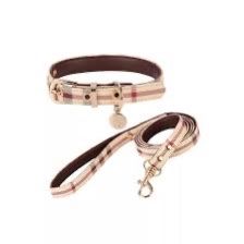 Designer Dog Collar And Leash Set