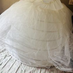 Crinoline/ Crinolina