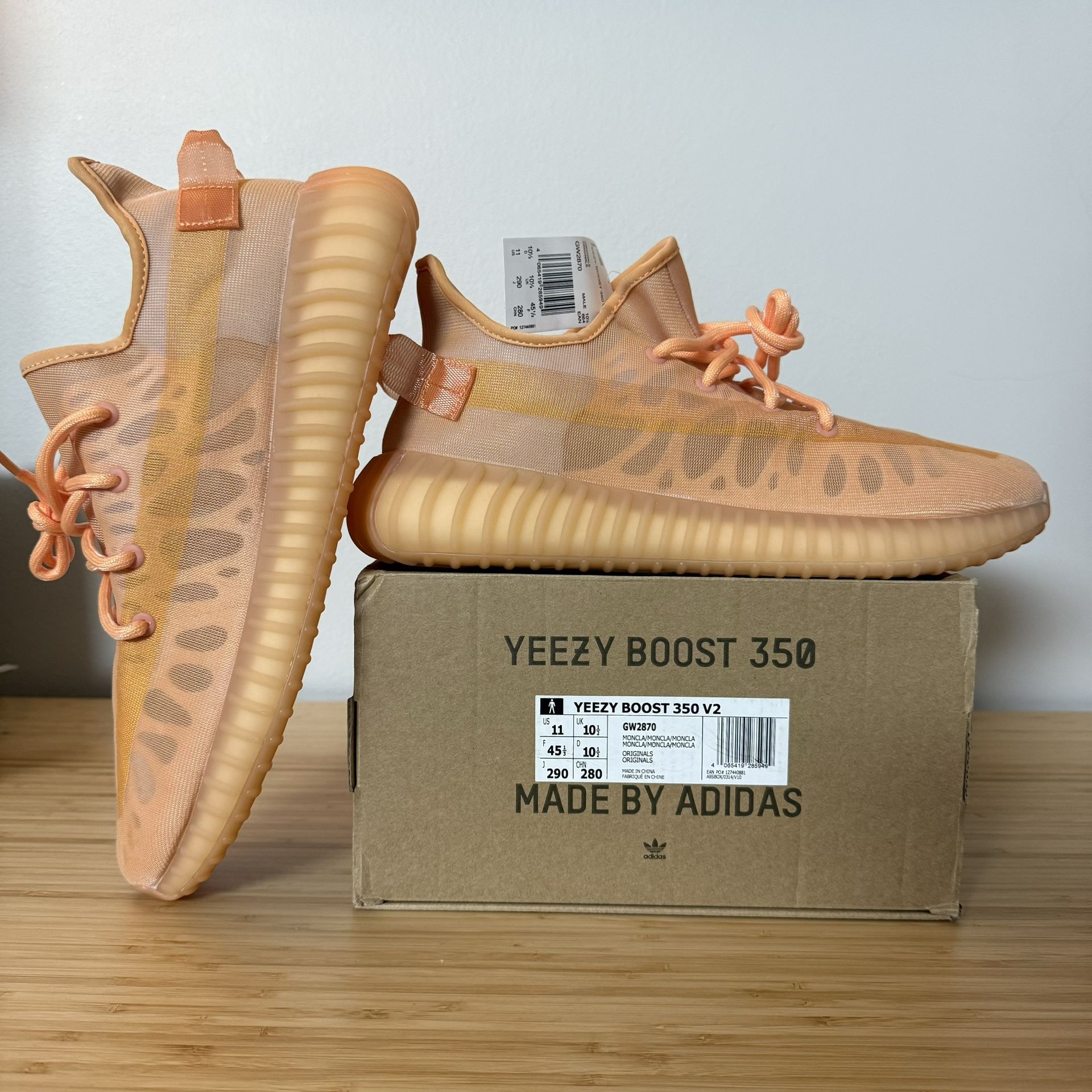 Size 11