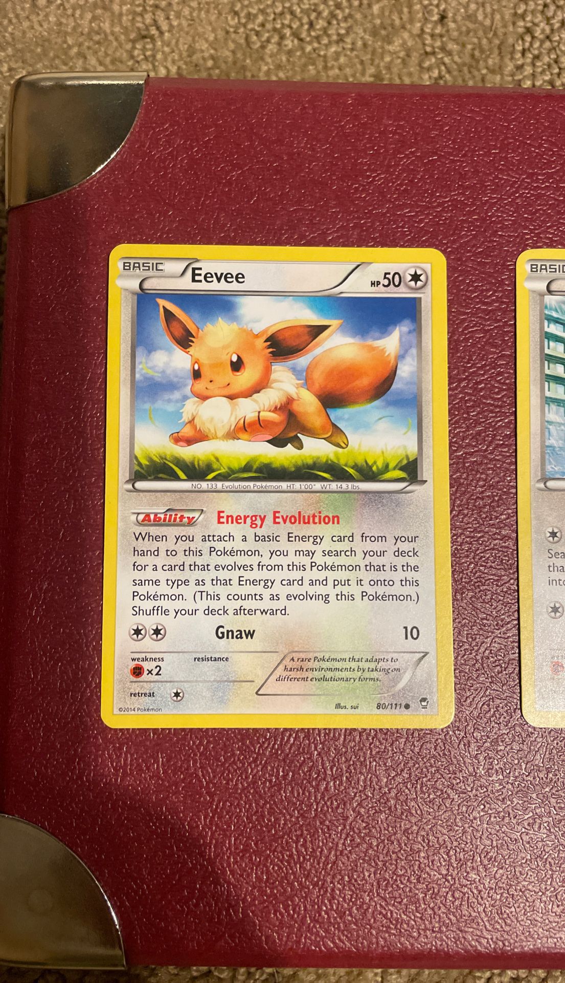 Pokemon Eevee