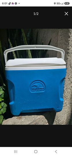 Igloo 30 qt. Cooler