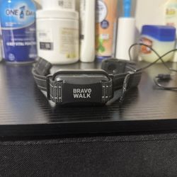 Bravo Walk Dog Collar Shock/vibrate 