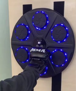 Boxing Bluetooth wall mount. Brand new! Unopened box.