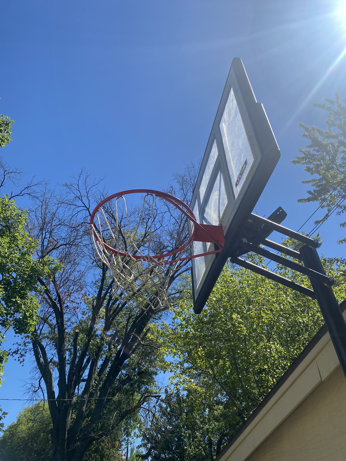 Lifetime Basketball Hoop