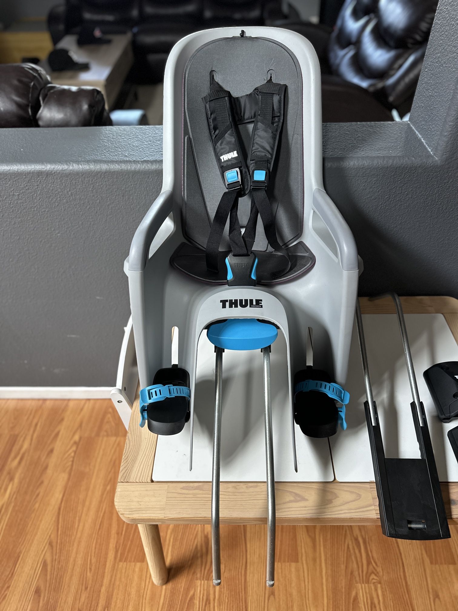 Thule Children’s Ridealong