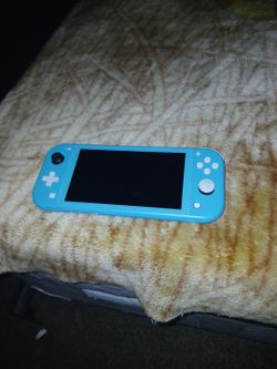 Nintendo Lite