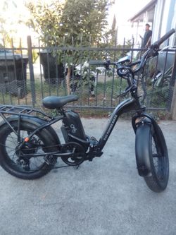 Radpower electric bike